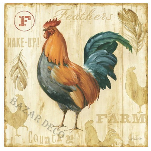 Afiche Feathers