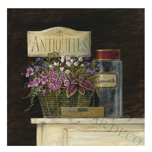 Afiche Antiquités