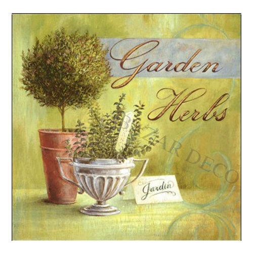 Afiche Garden herbs