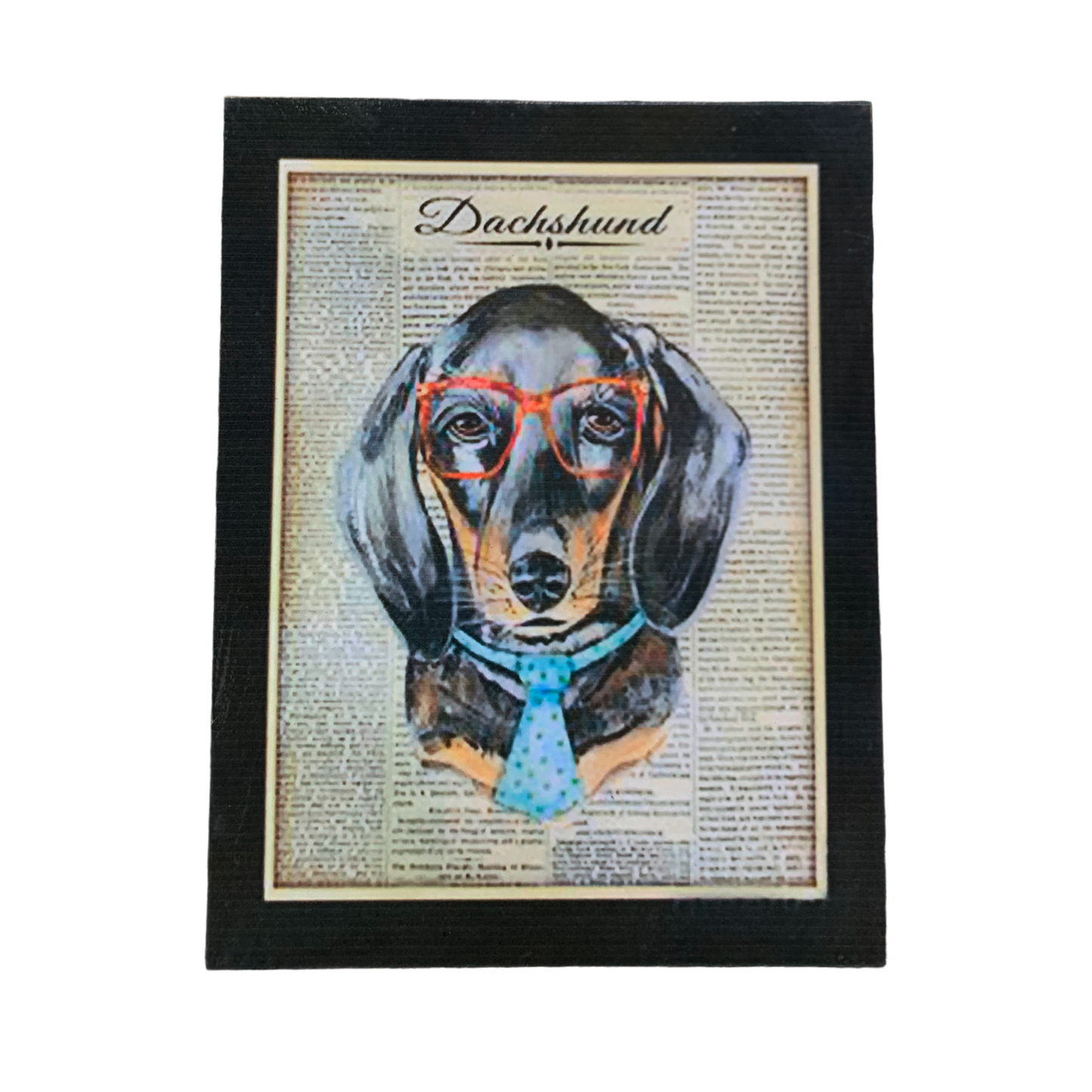 Afiche perro salchicha