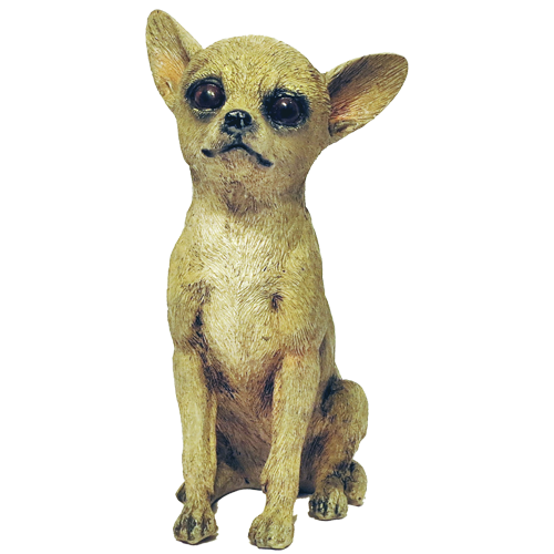 Perro chihuahua chico