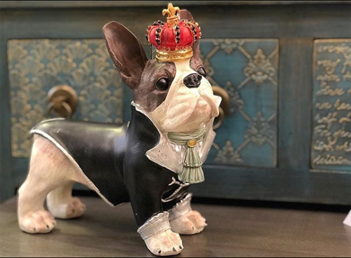 Bulldog corona