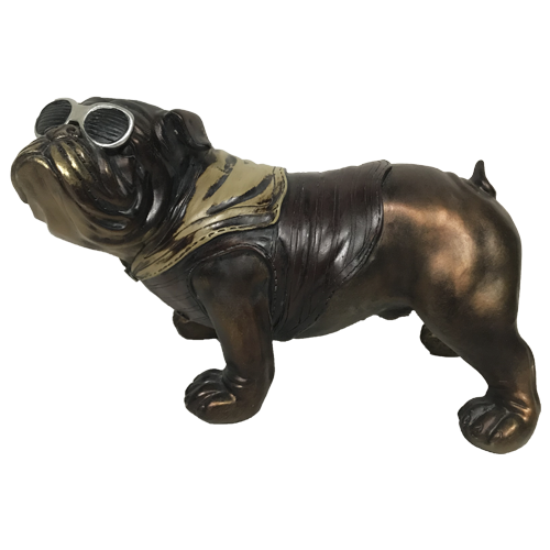 Bulldog ingles lentes