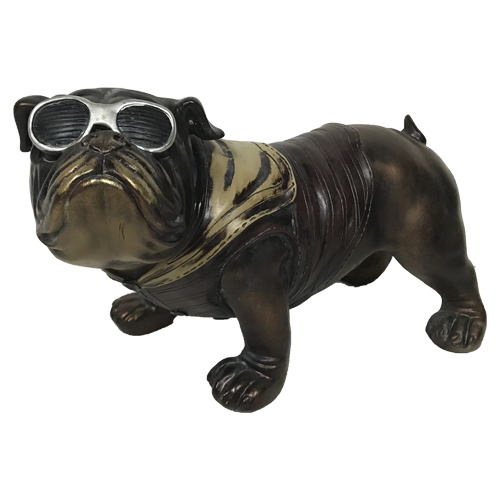 Bulldog ingles lentes