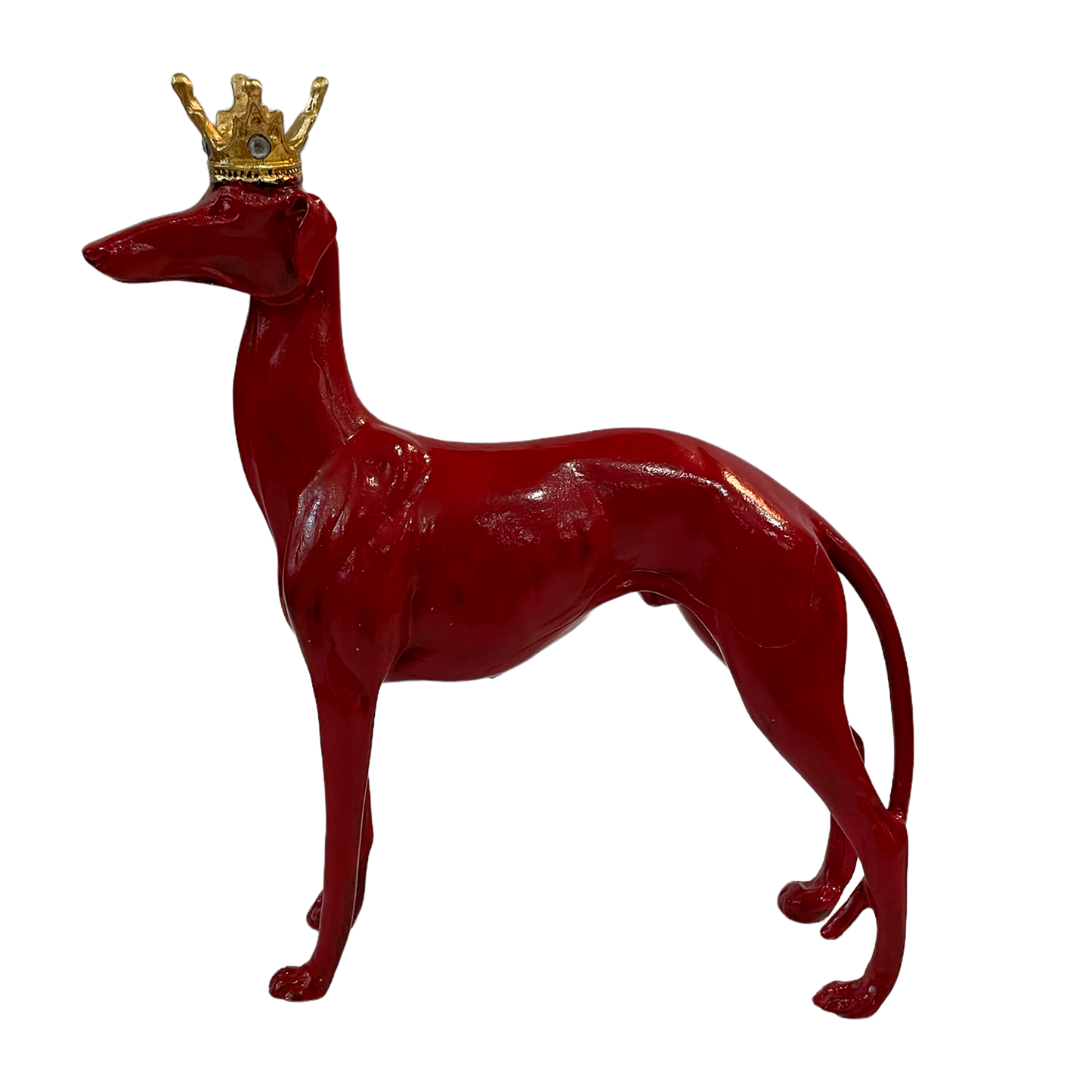 Galgo corona rojo