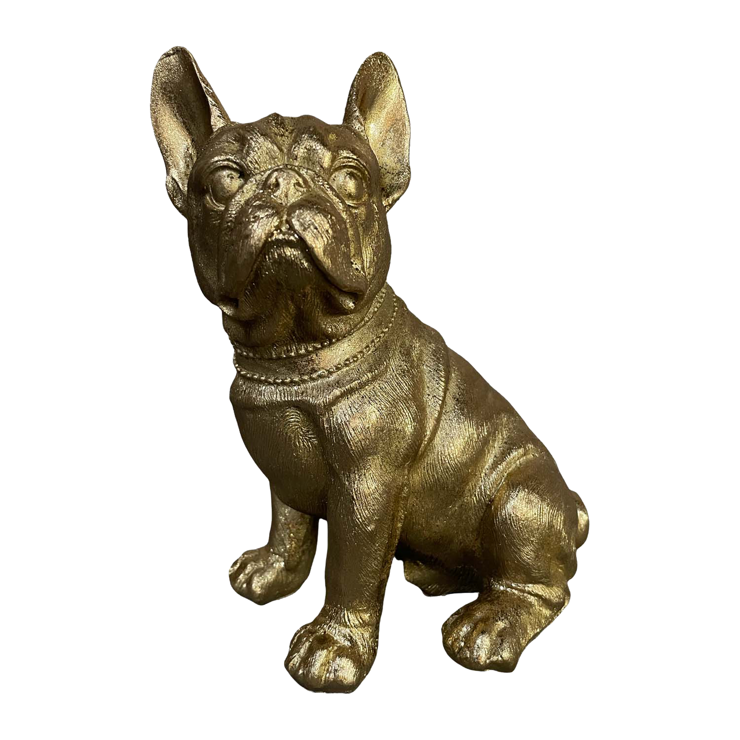Bulldog dorado