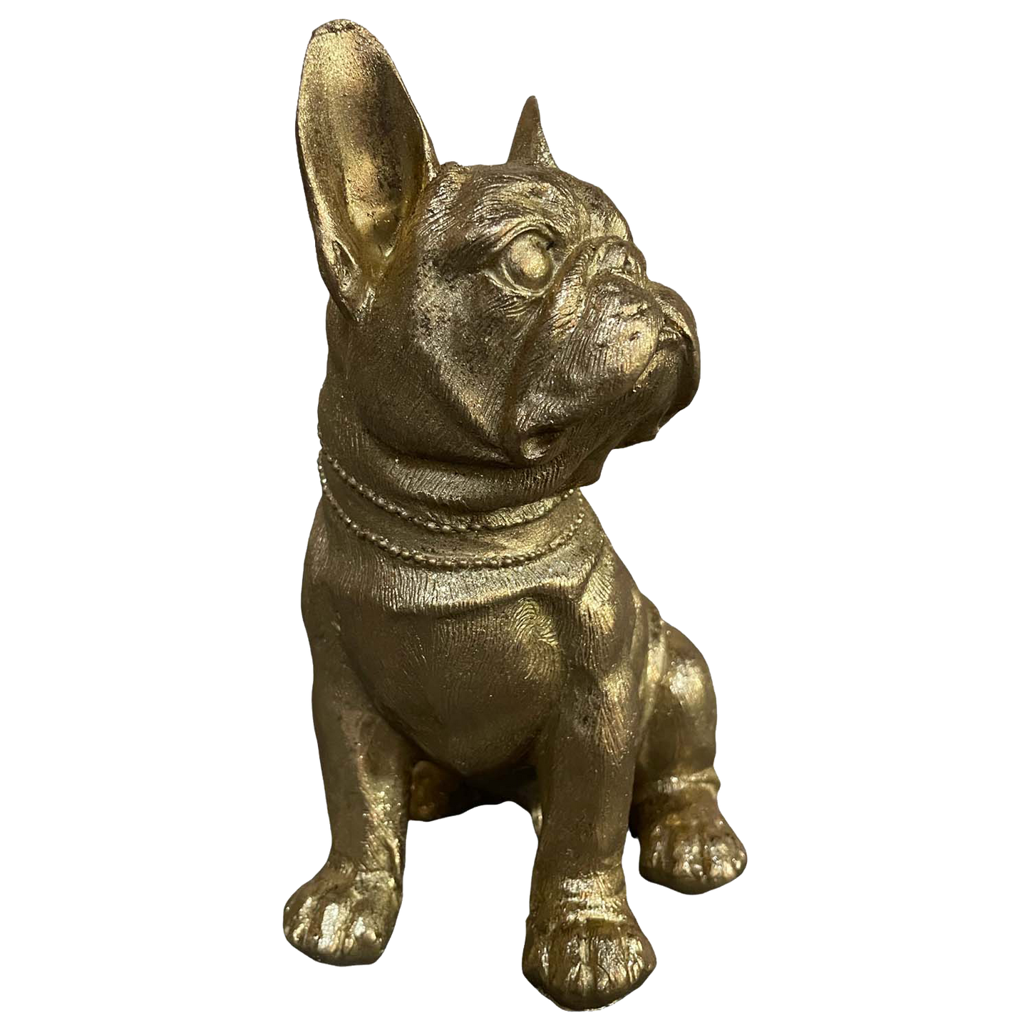 Bulldog dorado