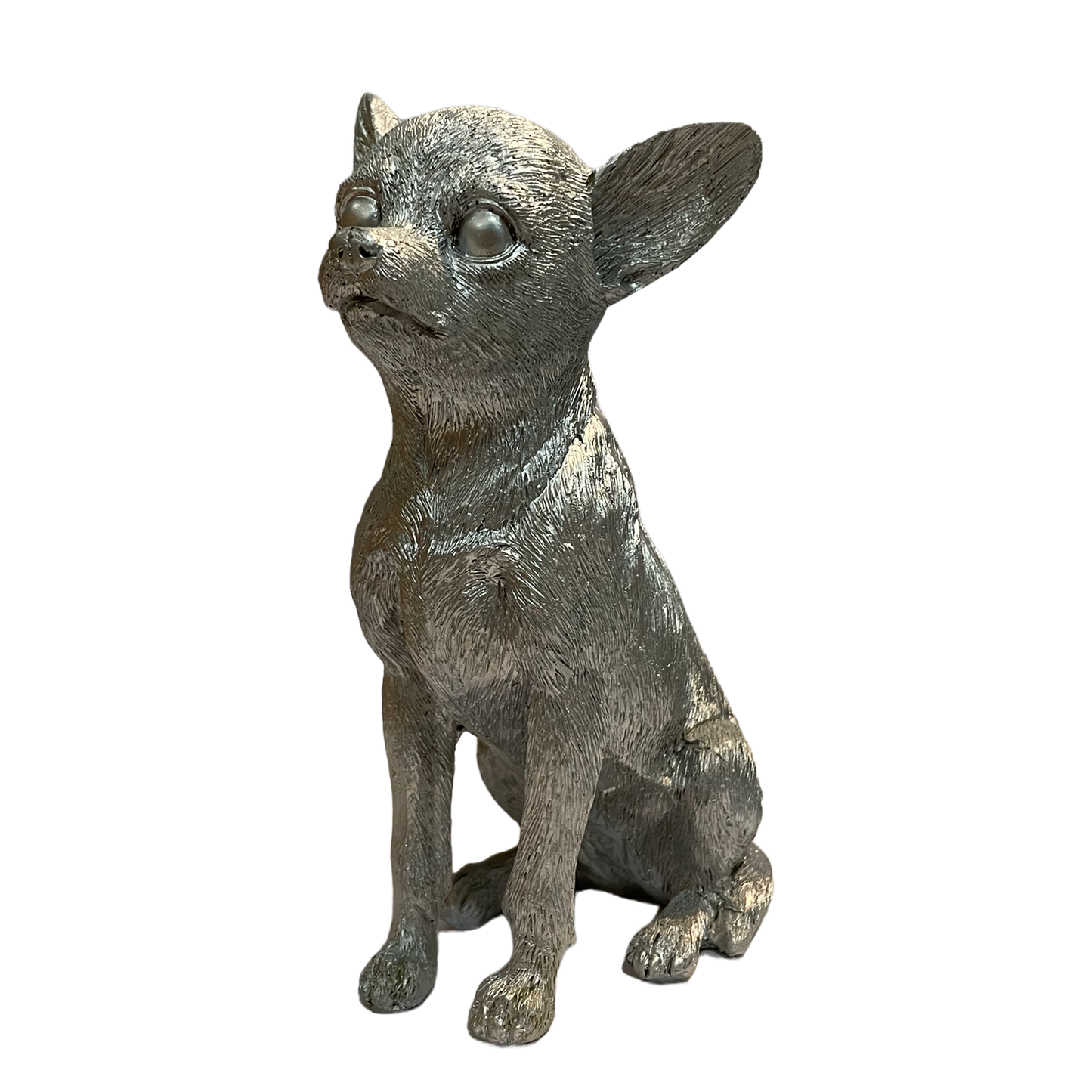 CHIHUAHUA PLATEADO GRANDE