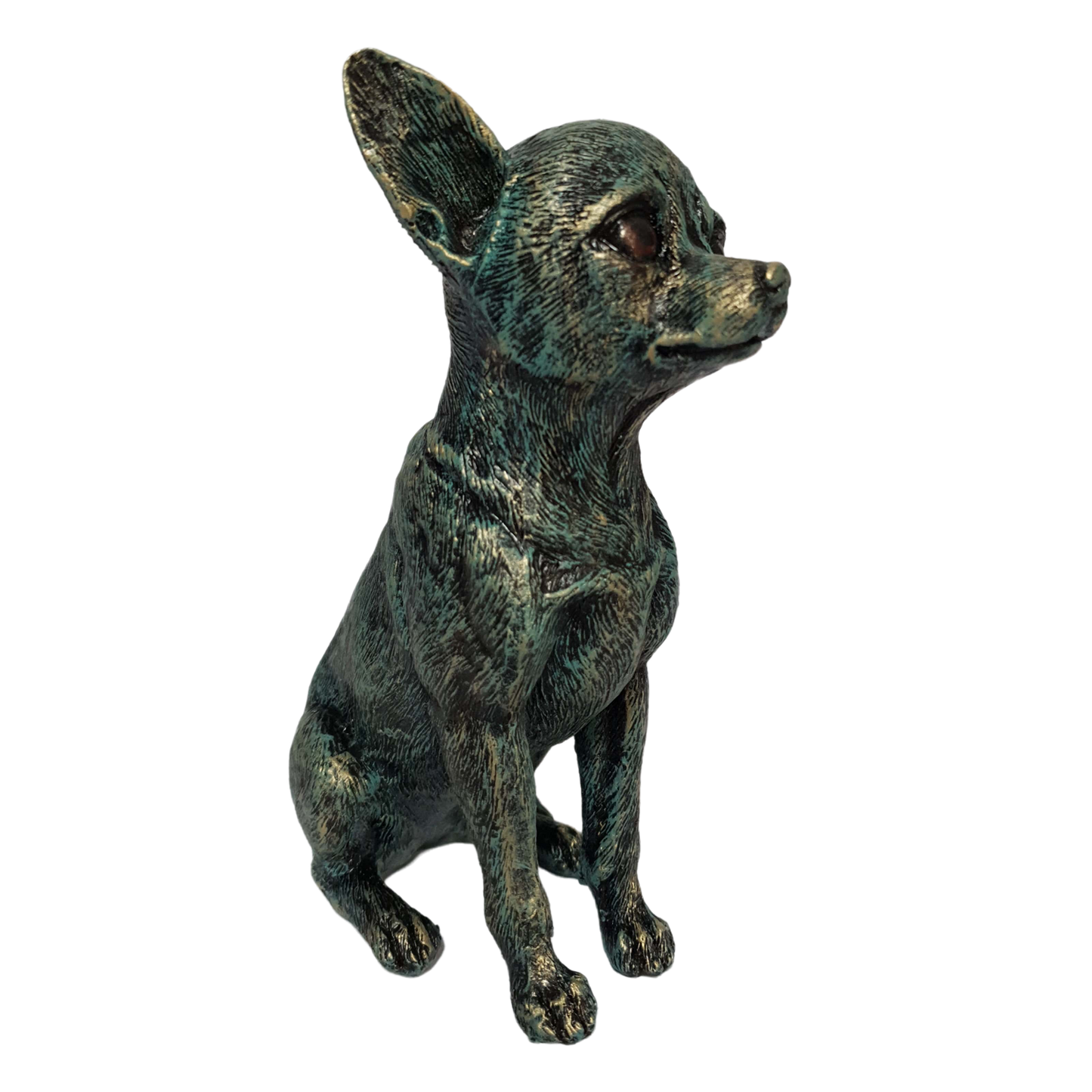 Chihuahua imperial chico