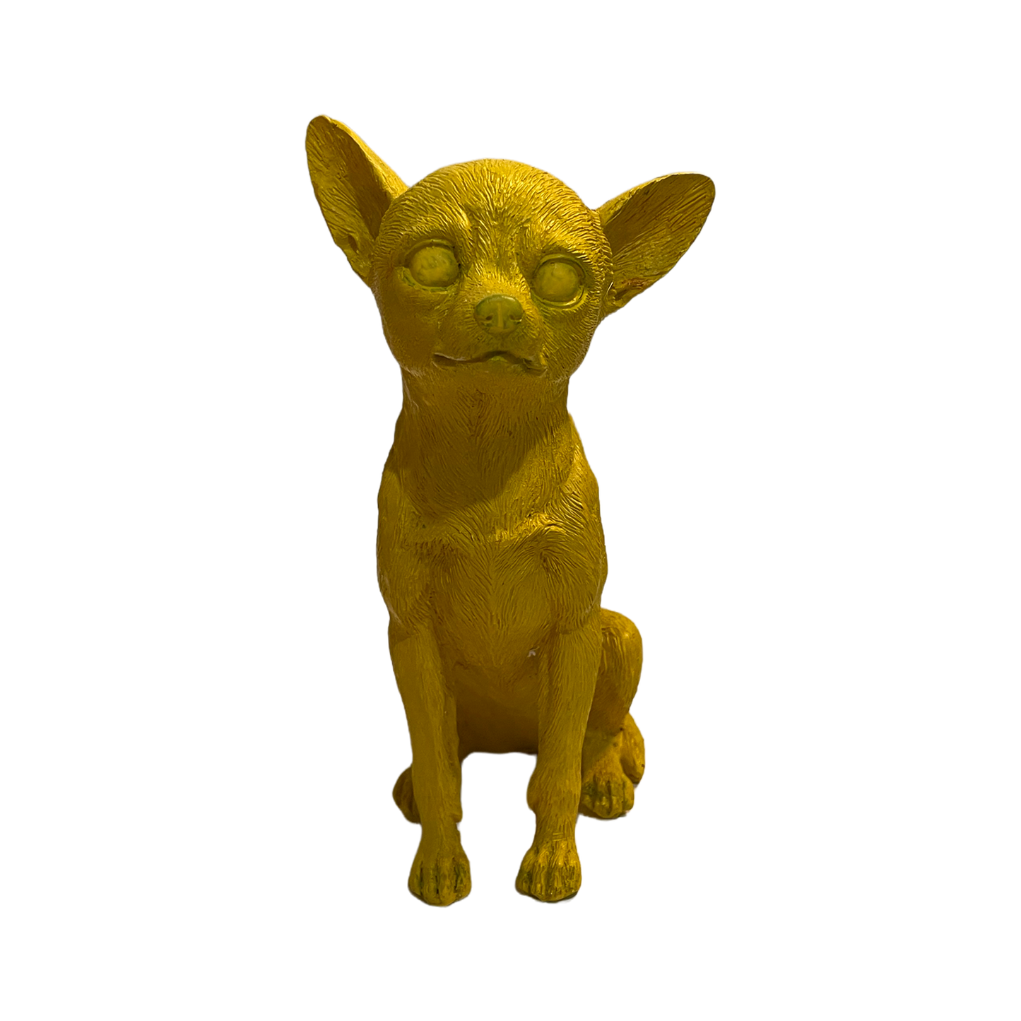 Chihuahua amarillo chico