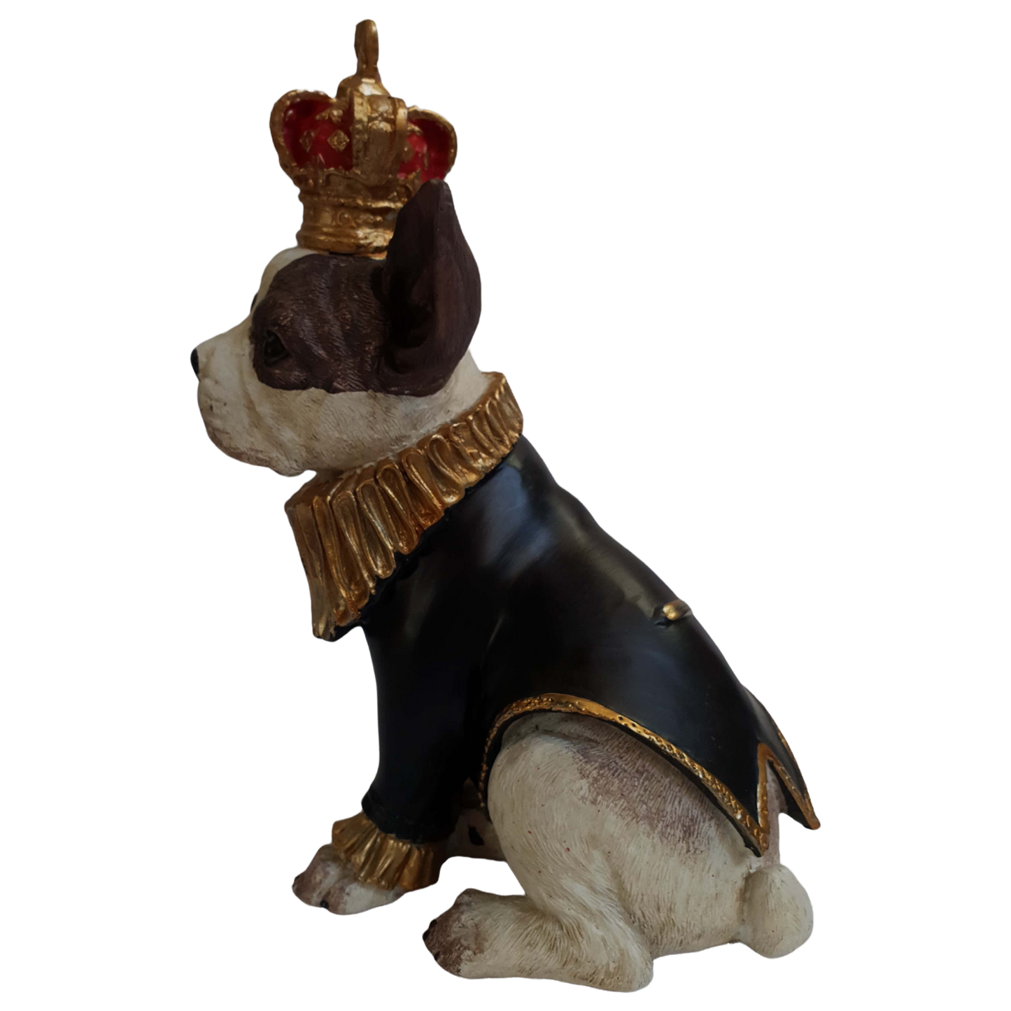 Boston corona cachorro