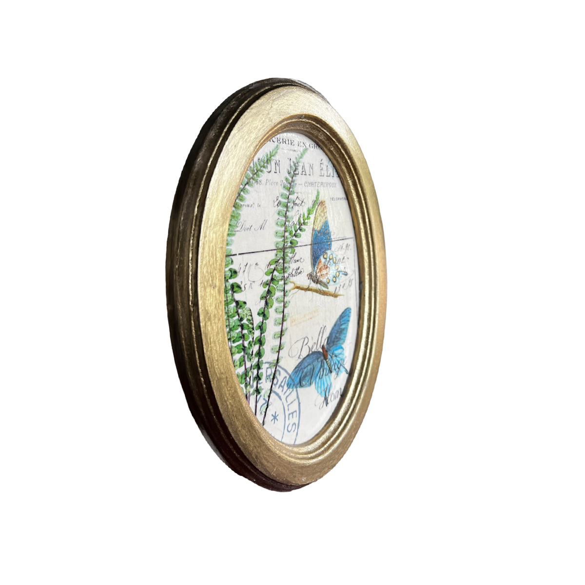 Cuadro ovalado Colección Mariposa I