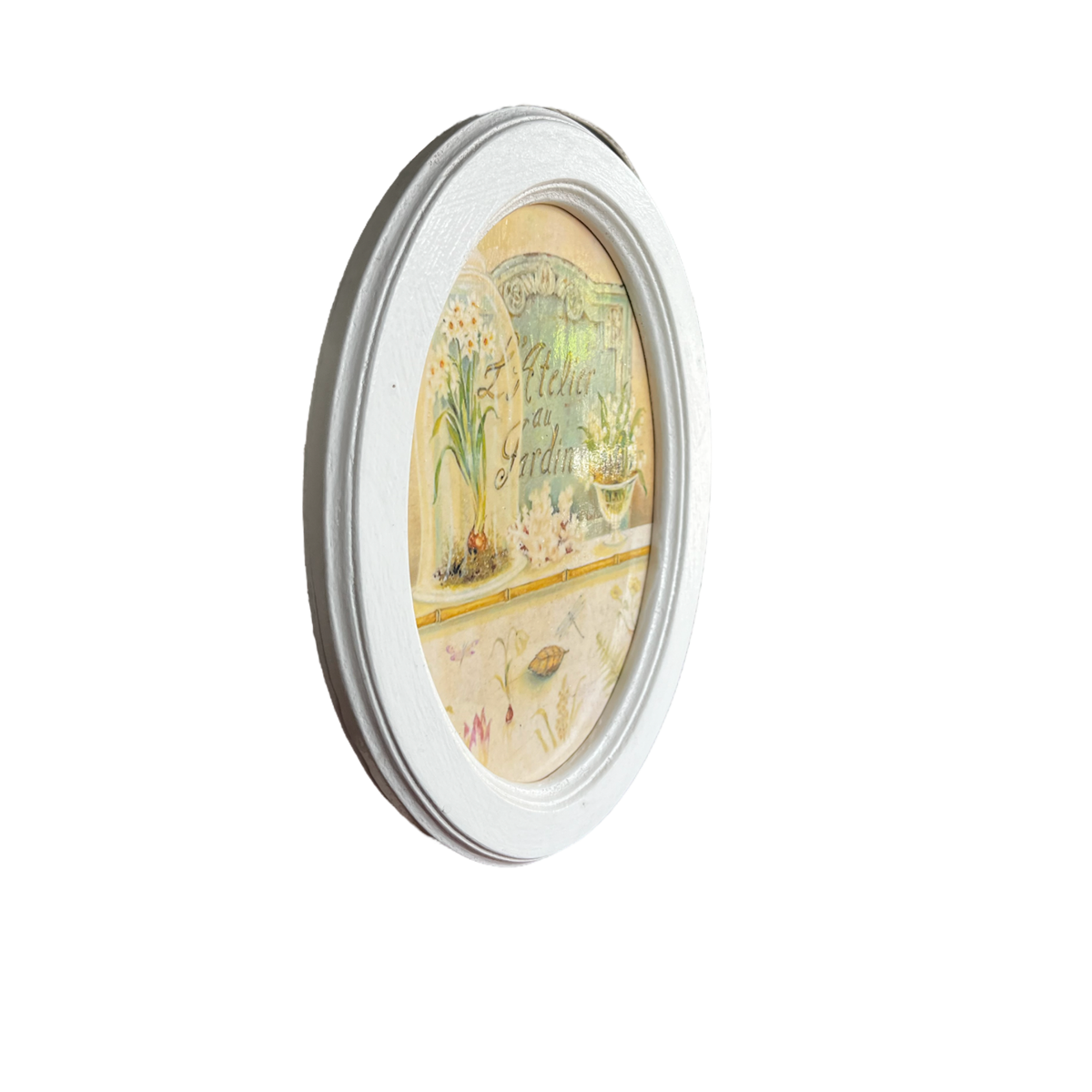 Cuadro ovalado Colección Botánico V