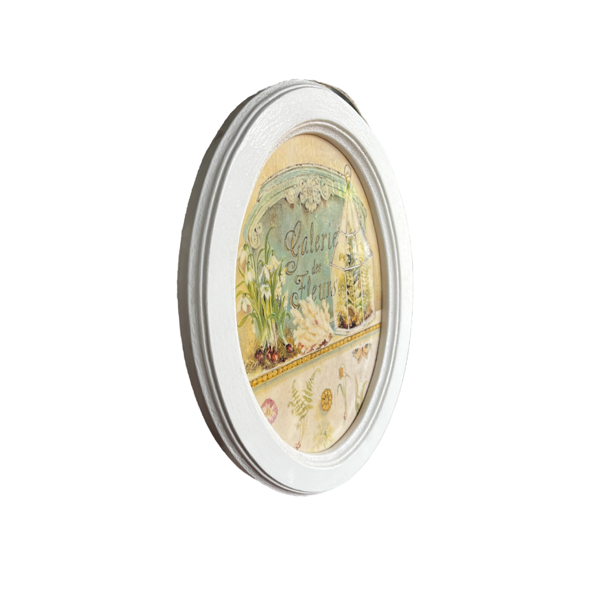 Cuadro ovalado Colección Botánico VI