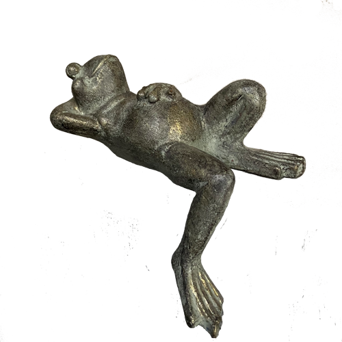 Ranita sola acostada