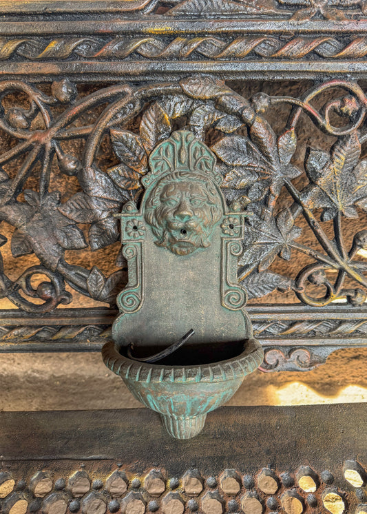 Fuente de agua S