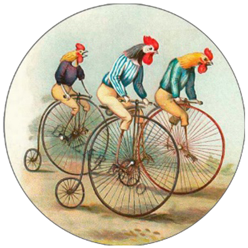 Afiche Gallos bicicleta