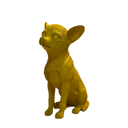 Chihuahua amarillo chico