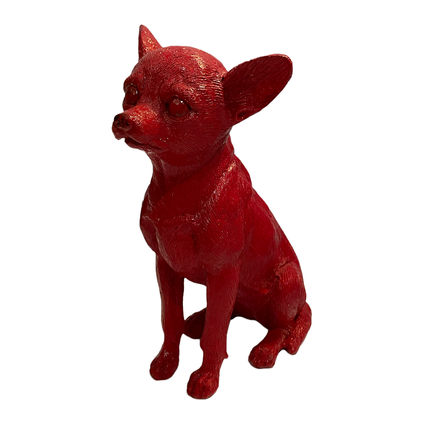 Chihuahua rojo chico