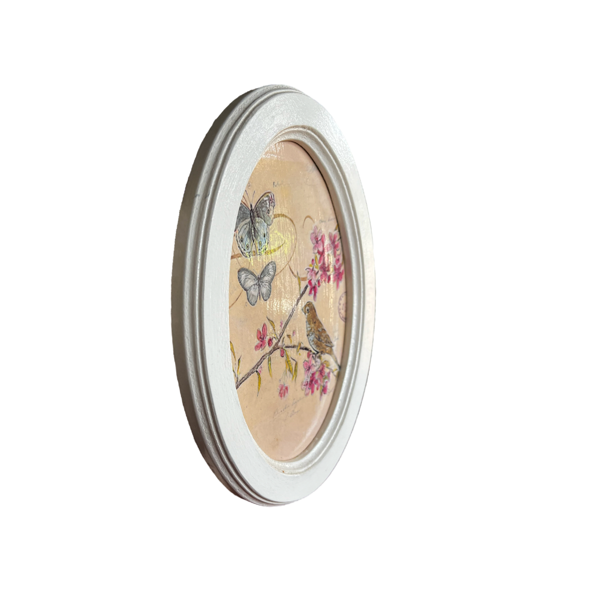 Cuadro ovalado Colección Mariposa II